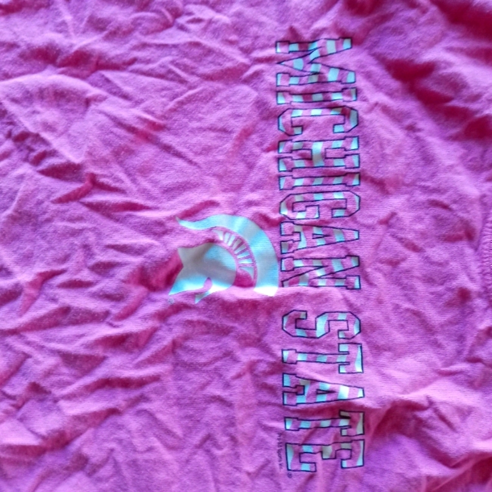 MICHIGAN STATE Tee